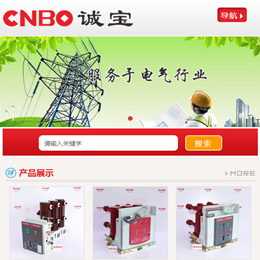2014年5月，米點(diǎn)科技開始為企業(yè)提供微網(wǎng)站服務(wù)